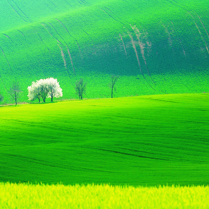 Gran Moravia