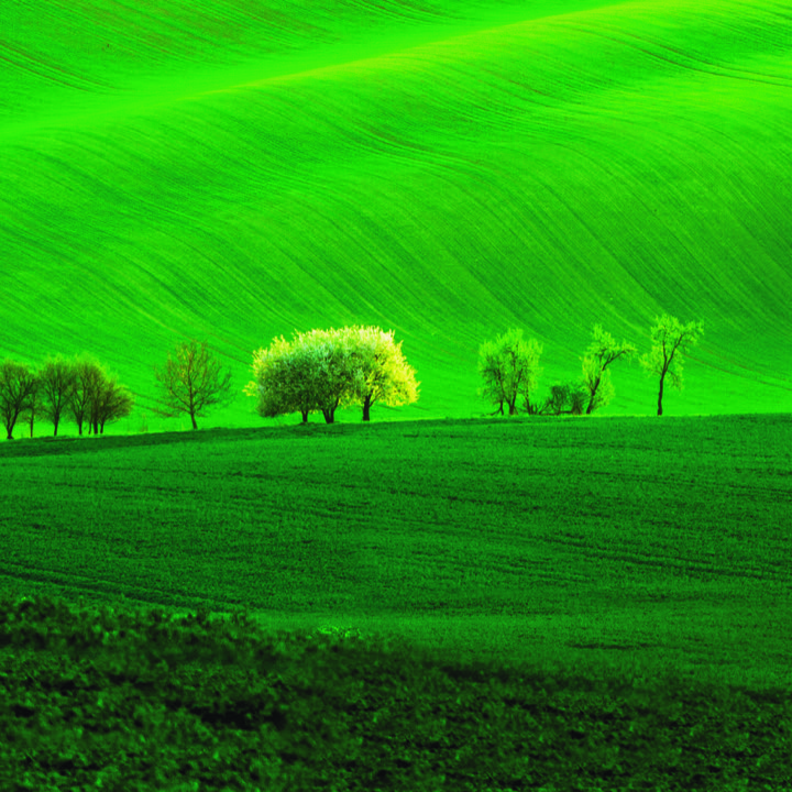 Gran Moravia