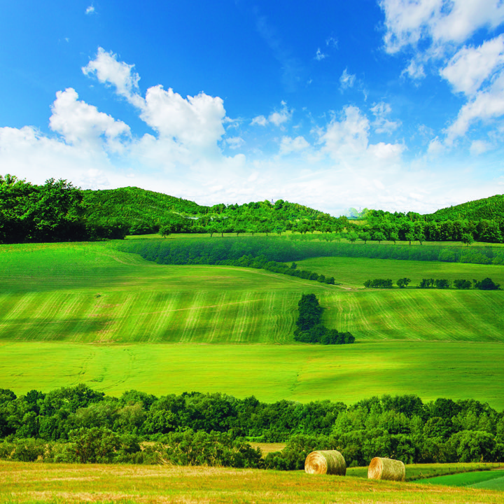 Gran Moravia