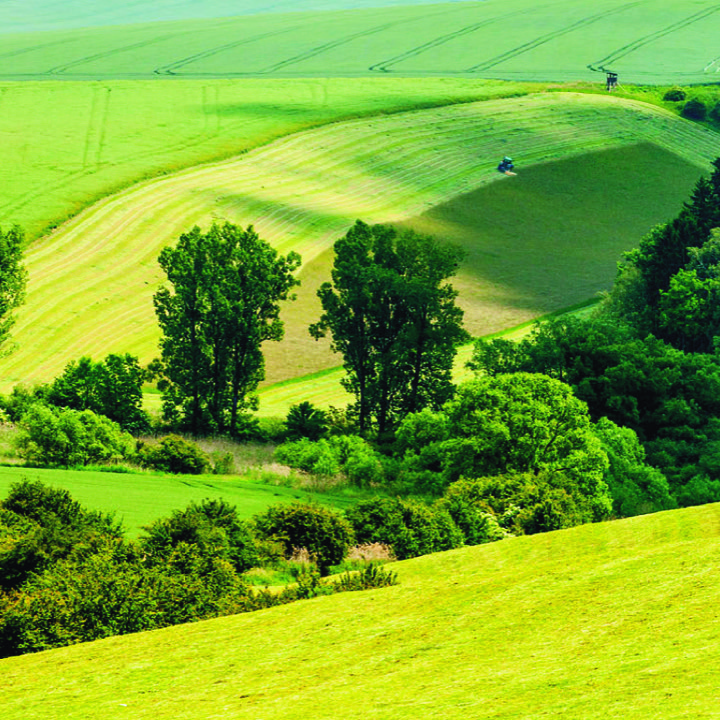 Gran Moravia