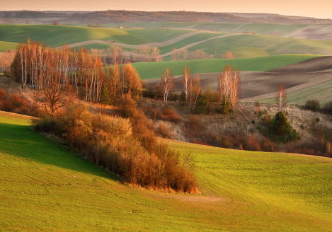 Gran moravia - Le Origini