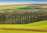 Gran moravia - Le Origini