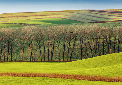 Gran moravia - Le Origini