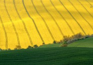 Gran moravia - Le Origini