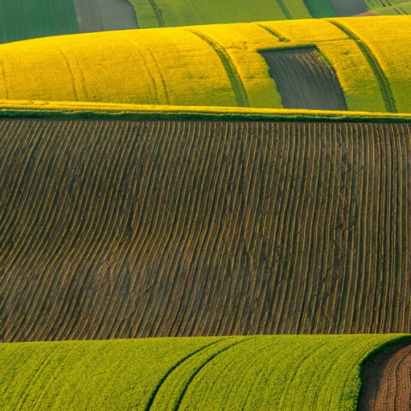 Gran moravia - Le Origini