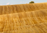 Gran moravia - Le Origini