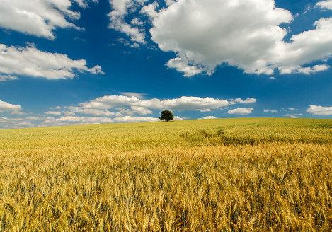 Gran moravia - Le Origini