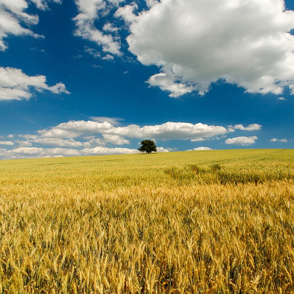 Gran moravia - Le Origini