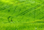 Gran moravia - Le Origini