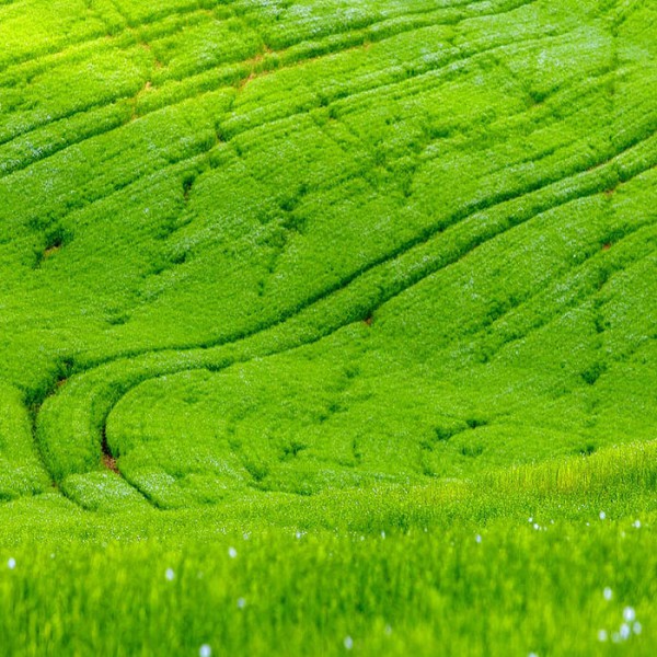 Gran moravia - Le Origini