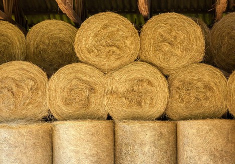 Gran moravia - Le Origini