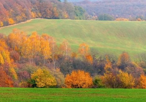 Gran moravia - Le Origini