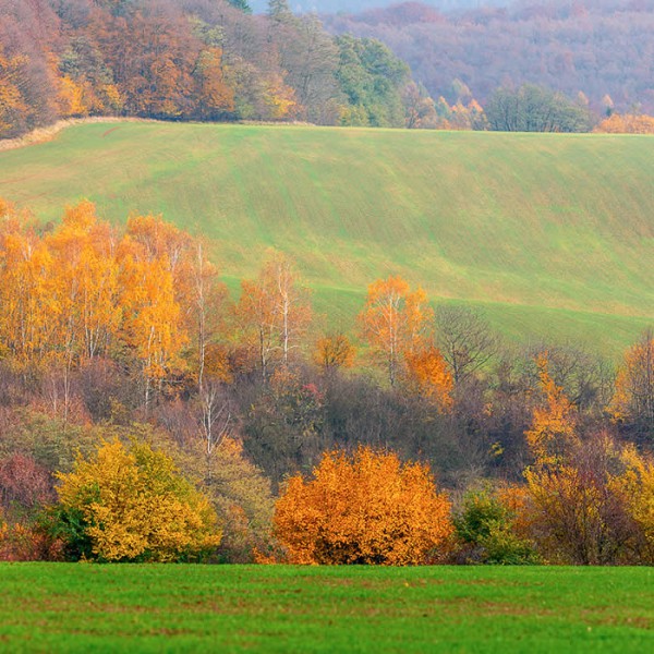 Gran moravia - Le Origini