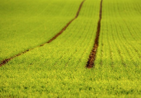 Gran moravia - Le Origini