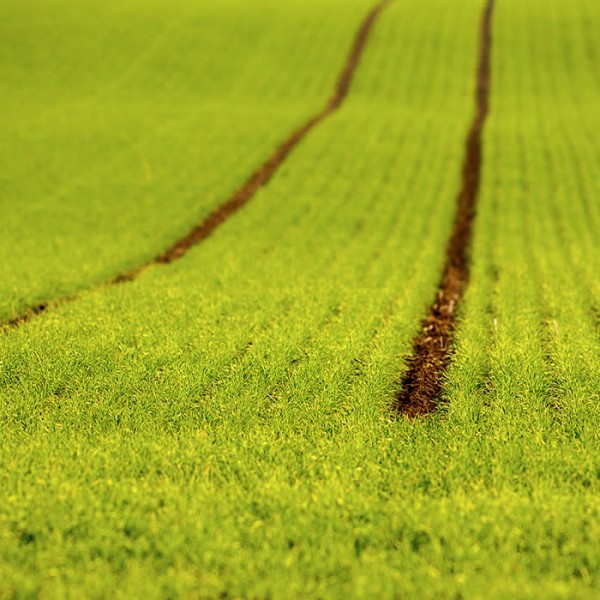 Gran moravia - Le Origini