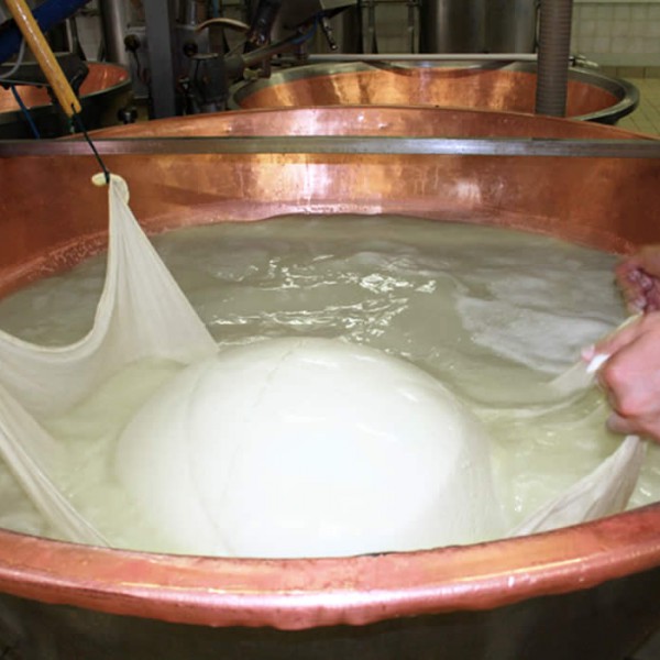 La Produzione Gran Moravia