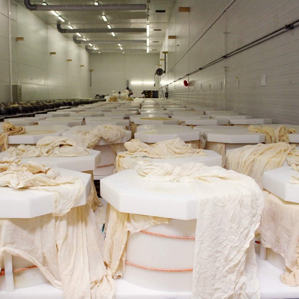 La Produzione Gran Moravia