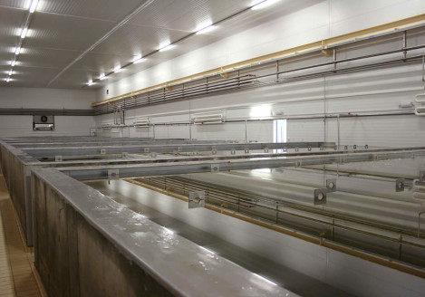 La Produzione Gran Moravia